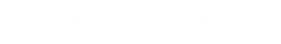 "The Big Will Experience" title spelled in thin white letters