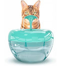 Fontaine chat.jpg