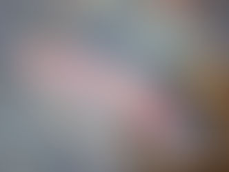 2025・秋ガイドレポート~ドライフライ編~