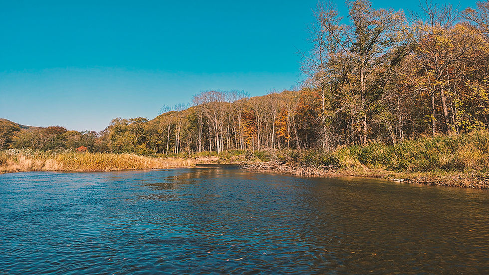 秋の柔らかい日差しの中で、ゆったりとライズするレインボーたちの川