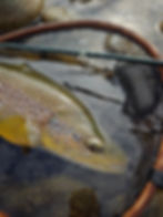 Thumbnail: January-February Departure South New Zealand FishCamp