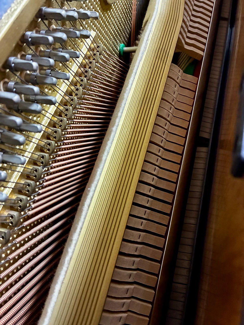 Miniature : Piano droit SCHOLZE by PETROF