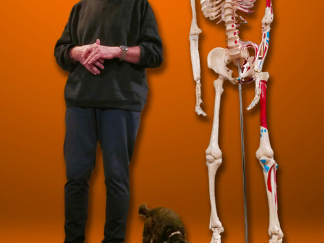 Clothes Optional Meeting