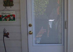 built in doggie door