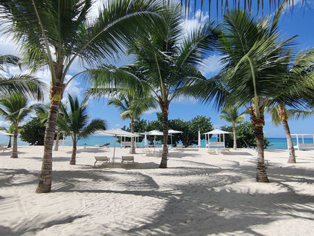 Dominicus Beach, Dominican Republic