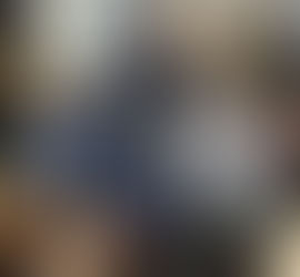 אמסטרדם 1 - סגירה והכנות , לטיסה , יום ראשון .