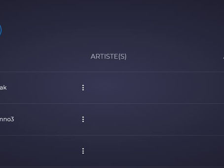 La rubrique des titres sur Zikplay