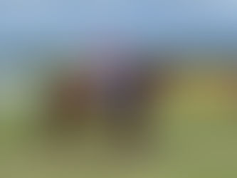 Magadan Impresses at Ballina