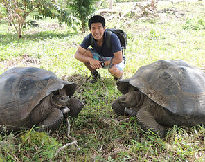 Tortugas Gigantes Galapagos