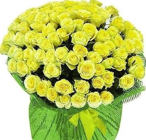 Миниатюра: Роза Mint (Кения)