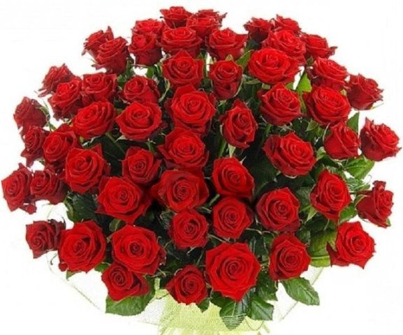 Миниатюра: Роза (Россия)