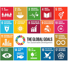 SDG.png