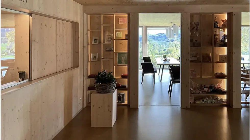 Transforming Birthspace: A Global Colloquium by SMARTlab alum Dr Doreen Balabanoff