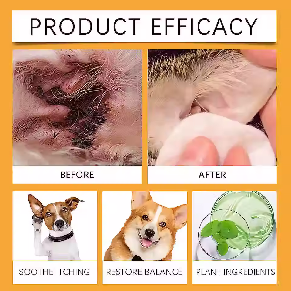 Thumbnail: Natural Yeast Infection Treatment for Dogs