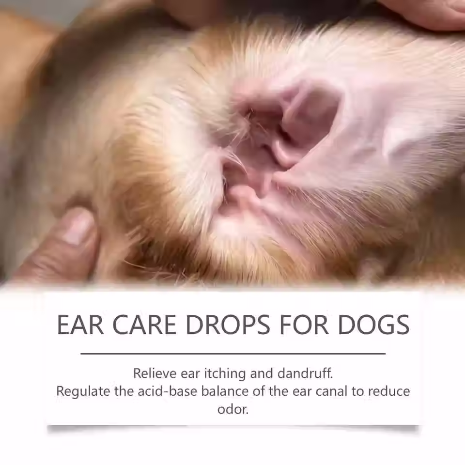 Thumbnail: Natural Yeast Infection Treatment for Dogs