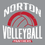 Thumbnail: Norton Volleyball (NP106)