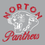 Thumbnail: Norton Panthers (NP22)