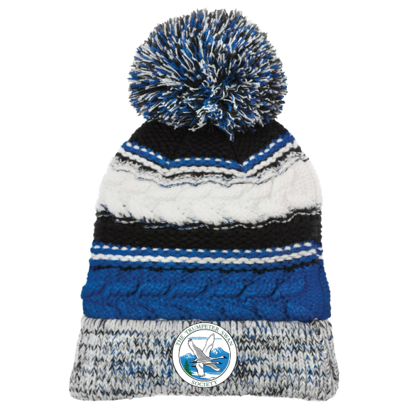 Thumbnail: TTSS - Pom-Pom Beanie