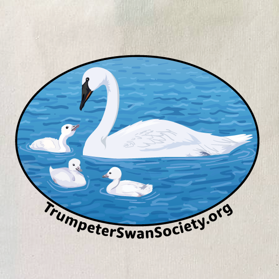 Thumbnail: TTSS - Tote Bag