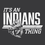 Thumbnail: Northwest Indians (NW15)