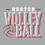 Thumbnail: Norton Volleyball (NP107)
