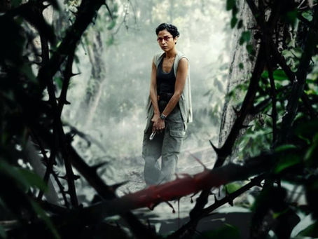 Niebla sin Fronteras (2024) (Ver Online Gratis en Español) (1080p) (Sin Anuncios)