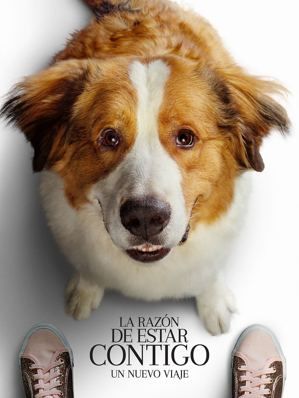 La razón de estar contigo