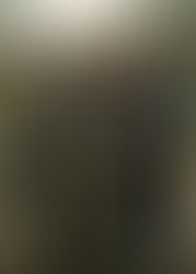 La Tierra del pecado | 2026 | Ver Online Gratis | 1080p | Sin Anuncios 