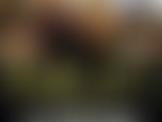 El último amor del Sr. Morgan (2013) (Ver Online Gratis) (1080p) (Sin Anuncios)