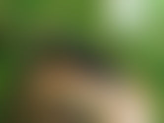 No te muevas (Don't Move) (2024) (Ver Online Gratis En Español) (1080p) (Sin Anuncios)