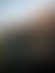 The Rats, a Witcher Tale | 2025 | Ver Online Gratis | 1080p | Sin Anuncios