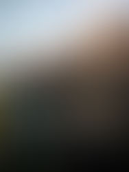 The Rats, a Witcher Tale | 2025 | Ver Online Gratis | 1080p | Sin Anuncios