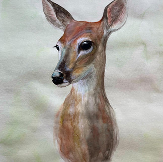 Aquarellbild eines Rehs