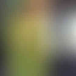 Gemalter bunter Fantasievogel