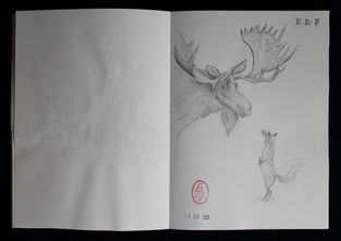 Zeichnung eines Elchs und eines Fuchs