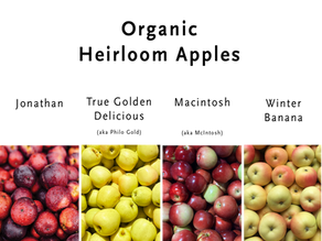 Harvest Report Sept 29, 2025