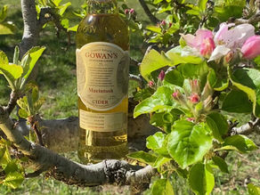 Apple Blossoms and Cider Bottles