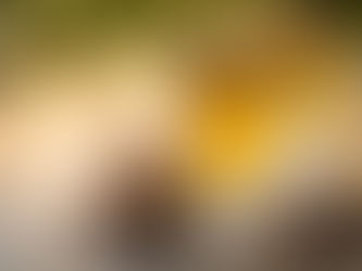 Introducing Spiced Apple Cider