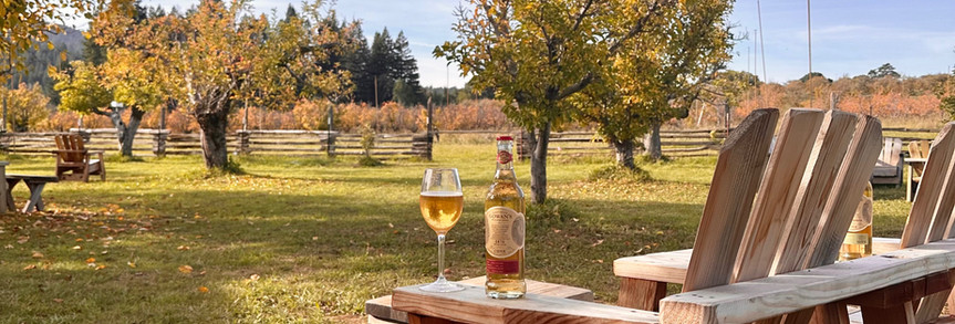 Glass and cider bottle on teh arm of a wood chair