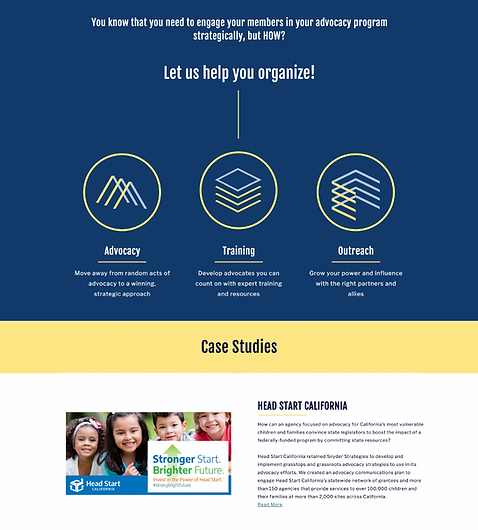 Snyder Strategies Website Services.png