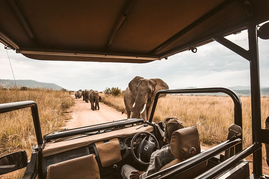 Tanzania Top Luxury Safari Experience_edited.jpg