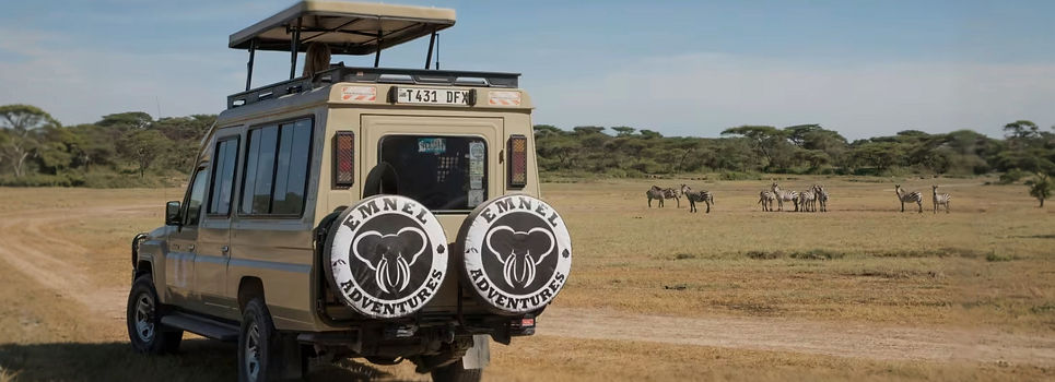 Emnel-adventures-serengeti-family-safari