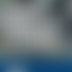 🧹 Part 4: What Happens If Mold Is Found