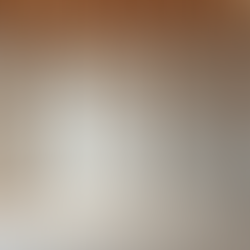 Why a Pre-Dry Wall Inspection is Crucial for Your New Home Construction