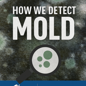 🧪 Part 3: How We Detect Mold Understanding the Tools, Techniques, and Triggers Behind Mold Detection