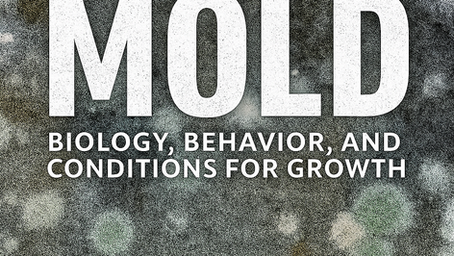 🧠 Part 1: Understanding Mold – Biology, Behavior, and Conditions for Growth