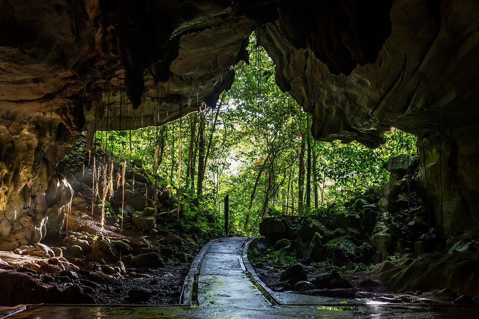 As Grutas Secretas de Mulu: Uma Aventura Subterrânea na Malásia
