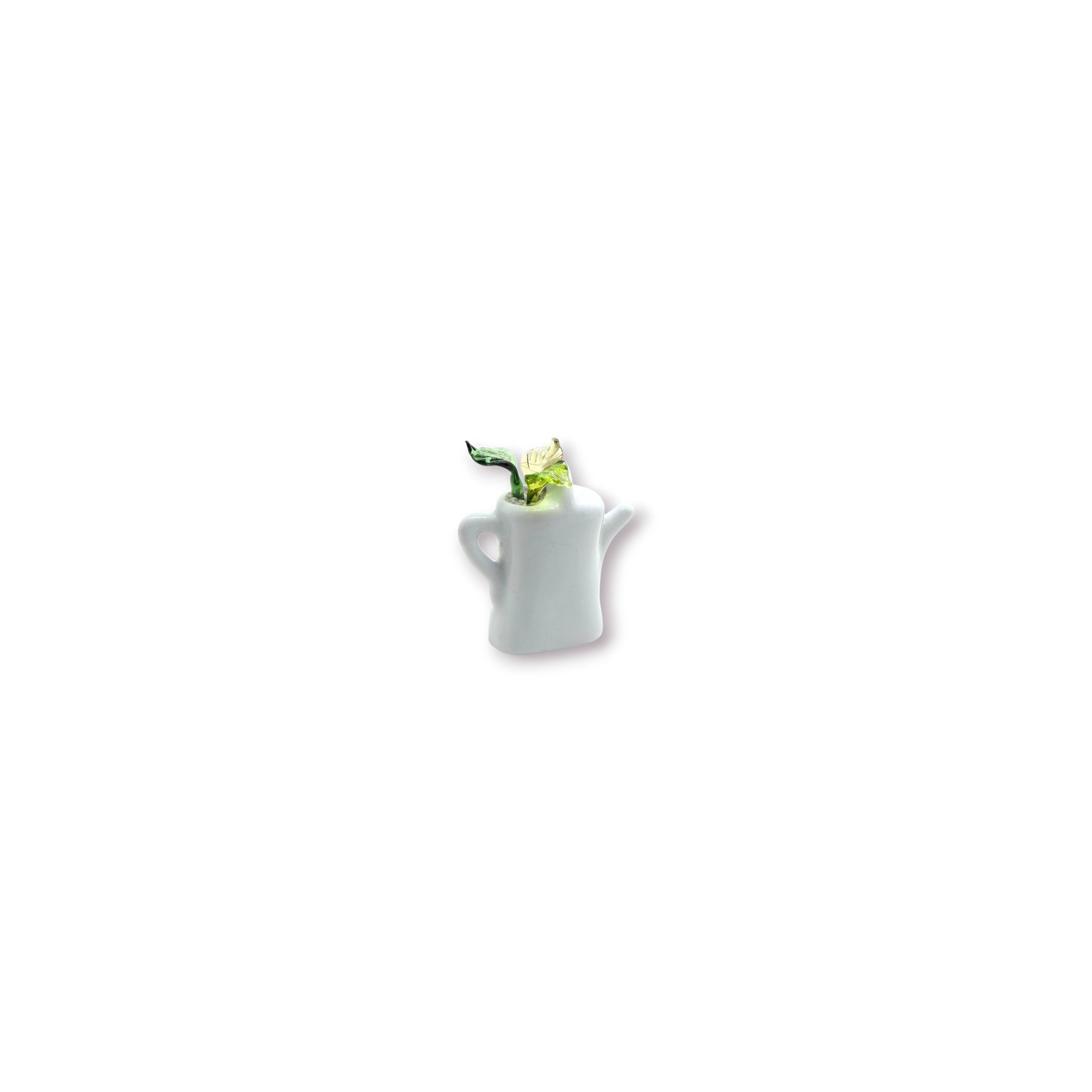 Succulente n°11