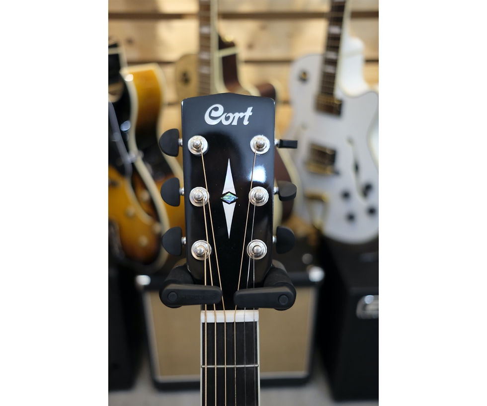 Miniatura: Cort MR 710