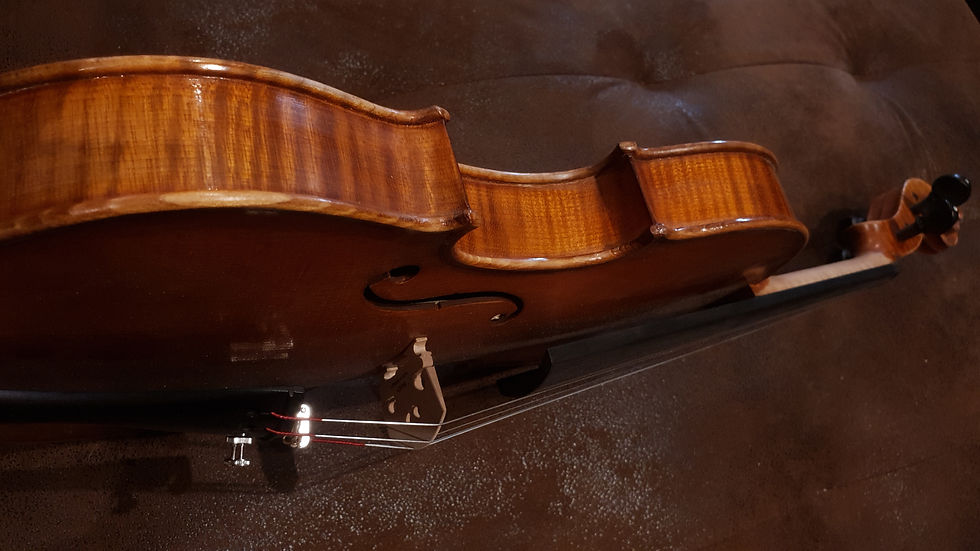 Miniatura: Violino di produzione artigianale made in Italy